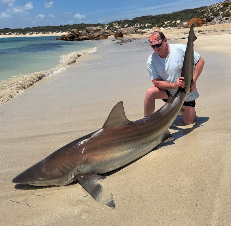 Bronzie Basher Land Based Game