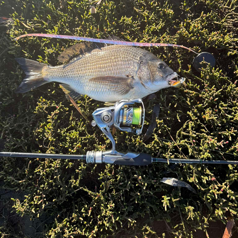 Fishing Report – Wednesday 16th September 2026