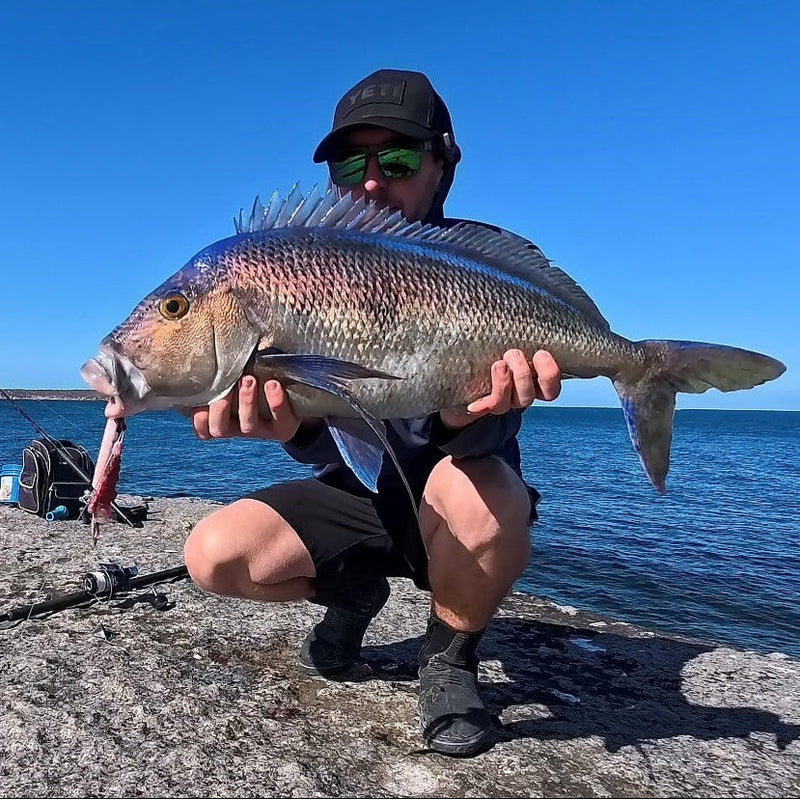 Fishing Report – Wednesday 3rd February 2026