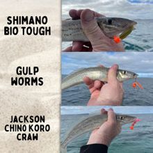 Catching King George Whiting on Soft Plastics