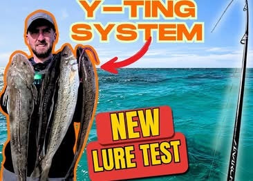 NEW Y-Ting System on South Aussie King George Whiting