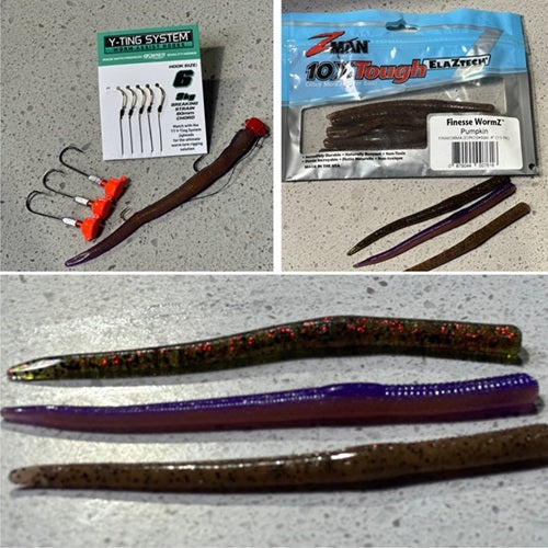 Fishing Report – Wednesday 24th September 2025