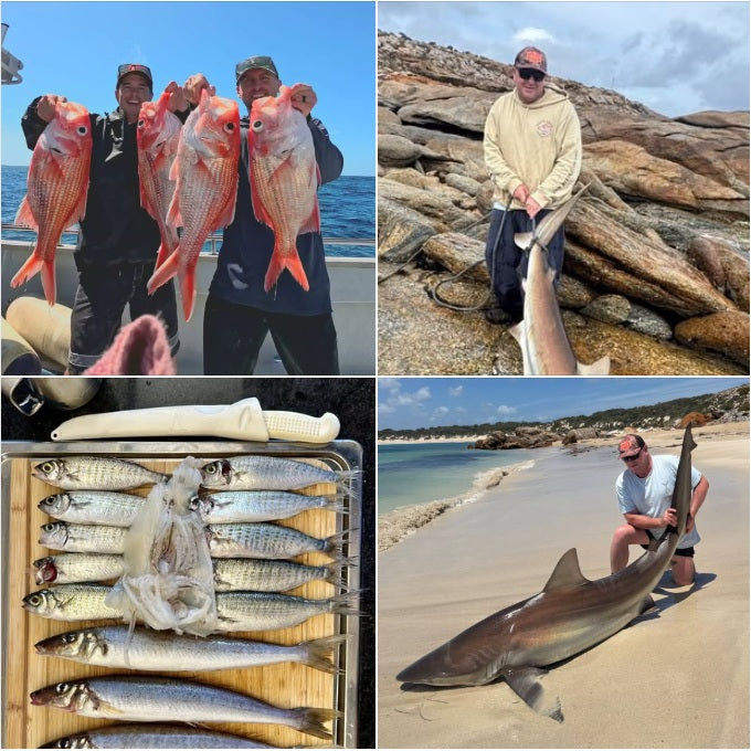 Fishing Report - Wednesday 10th December 2025