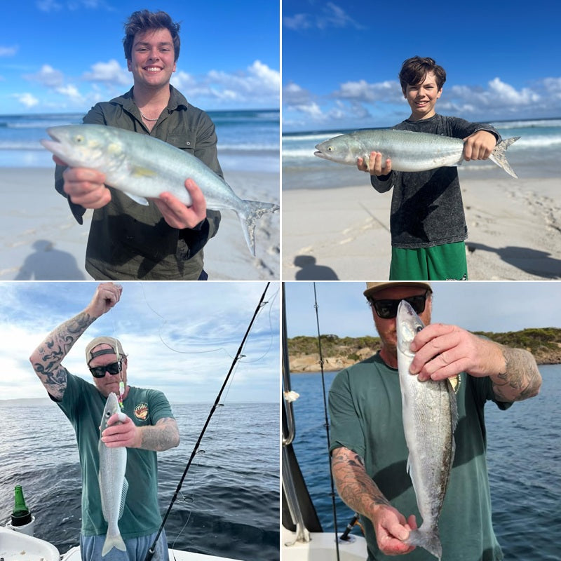 Fishing Report – Wednesday 29th April 2026