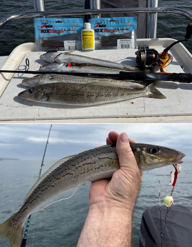 Fishing Report – Wednesday 19th August 2026