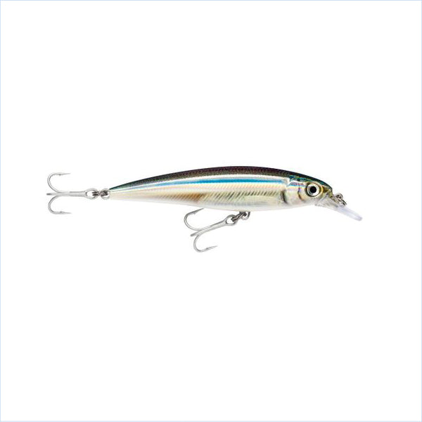 Rapala X-Rap Saltwater 10cm Silver Blue