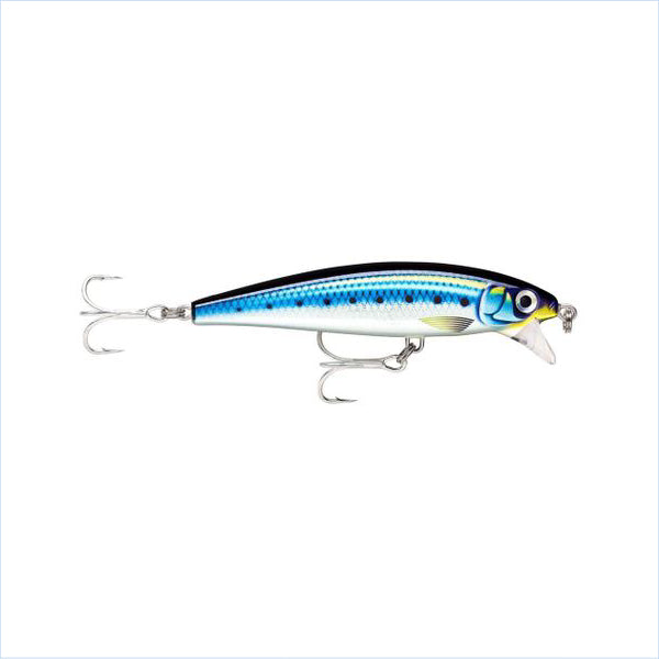 Rapala X-Rap Mag Cast 10cm Anchovy
