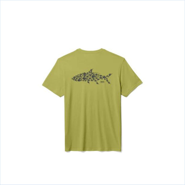 Shirt Tarpon Flies SST