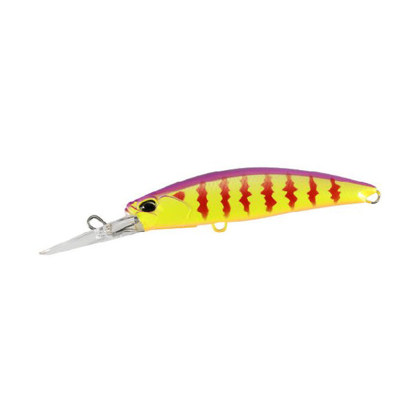 Realis Fangbait 80DR Archer Fish