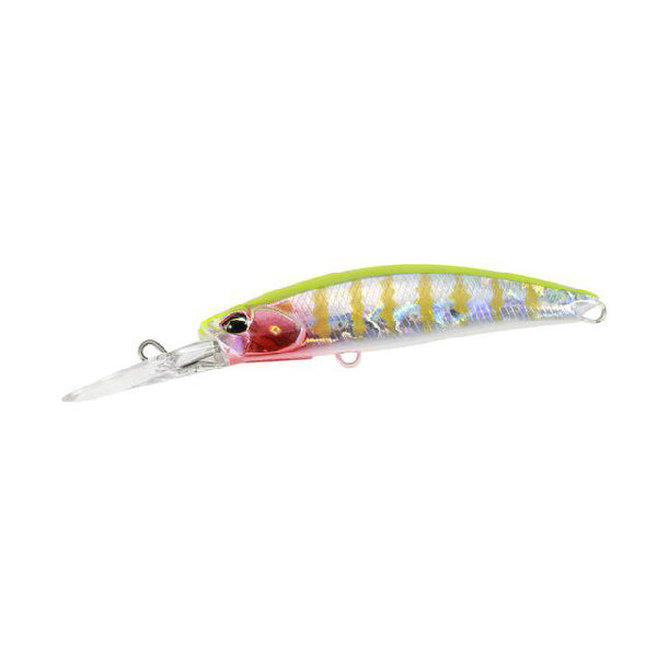 Realis Fangbait 80DR Archer Fish
