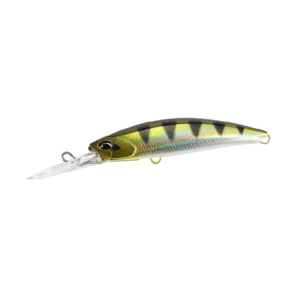 Realis Fangbait 80DR Archer Fish