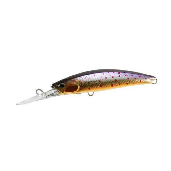 Realis Fangbait 80DR Archer Fish
