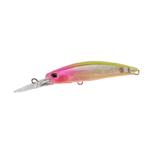 Realis Fangbait 80DR Archer Fish