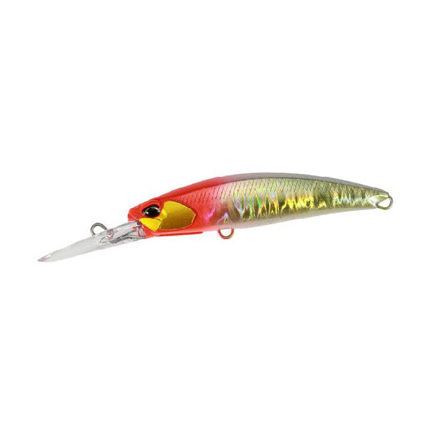 Realis Fangbait 80DR Archer Fish
