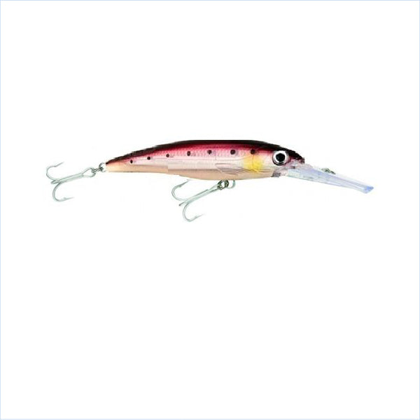 Rapala X-Rap Magnum 12cm Blue Sardine